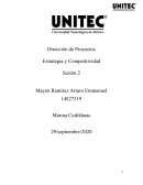 Dirección de Proyectos Estrategia y Competitividad