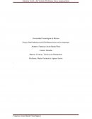 Ensayo final Industria textil (Problemas éticos en las empresas)