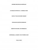 INFORME DESCRIPCIÓN DE MERCADO