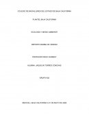 REPORTE BOMBA DE VENENO