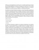 Internacionalizacion de la Empresa como una estrategia corporativa