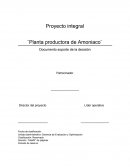Proyecto integral ¨Planta productora de Amoniaco¨