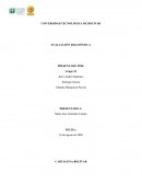 PRODUCCIÓN MÁS LIMPIA. Caso Nike