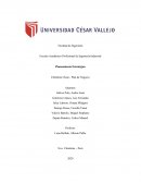 Planeamiento Estratégico Chimbote Clean - Plan de Negocio