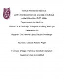 Análisis de el video de el virus de la actitud