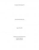 Investigación Metodología ITIL