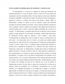 FINANCIAMIENTO EMPRESARIAL DE MEDIANO Y LARGO PLAZO