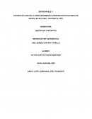 Contratos de construcción de obra y sus variantes