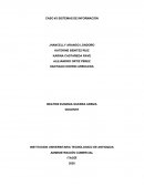 CASO SISTEMAS DE INFORMACION IMPLEMENTACÓN DE CRM