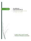 ORGANIZACION DE UN EQUIPO DE TRABAJO