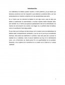 Estandares de belleza