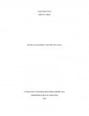 CASO PRACTICO GRUPO CARSO