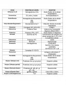Receptores y proteínas de virus