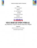Planteamiento del Proyecto Empresa: Libra Seguridad Industrial