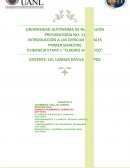 INTRODUCCION DE LAS CIENCIAS SOCIALES