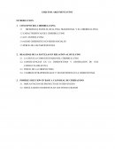 Esquema Argumentativo Ciberbullying