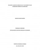 APLICACIÓN Y ALCANCE DEL MODELO DE LAS 7 Ss DE MCKINSEY EN UNA DISTRIBUIDORA MINORISTA DE COMBUSTIBLE