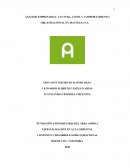 ANÁLISIS EMPRESARIAL: CULTURA, CLIMA Y COMPORTAMIENTO ORGANIZACIONAL EN MATTELSA S.A