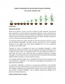 PAQUETE TECNOLOGICO DE UNA HECTAREA DE MAIZ EN TEMPORAL