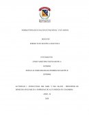 Estructura del SGRL y del SG-SST - principios de derecho aplicables a empresas de alto riesgo en Colombia