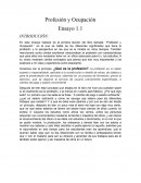 Profesion Y Ocupacion