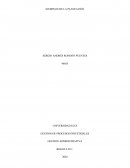 GESTION DE PROCESOS INDUSTRIALES. GESTION ADMINISTRATIVA