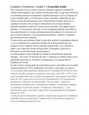 Genocidio Judio BRENETEAU