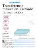 Fermentadores