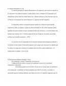 Aparato respiratorio