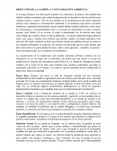 REDUCCIÓN DE LA CAMPIÑA Y CONTAMINACIÓN AMBIENTAL