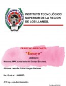 Ensayo Sociedad Mercantil