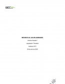 IMPUESTO AL VALOR AGREGADO