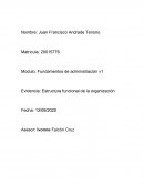 Estructura funcional de la organización