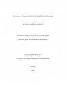 INTRODUCCIÓN A LA INTELIGENCIA DE NEGOCIOS