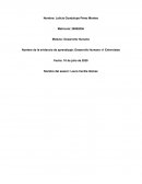 Desarrollo Humano v1 Entrevistas