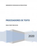 PROCESADORES DE TEXTO