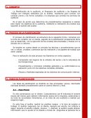 La Planificación de la auditoría