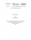 ENTREGA FINAL INVESTIGACIÓN DE OPERACIONES POLIGRAN