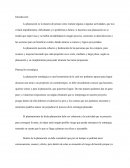 Ensayo argumentativo sobre la planeación estratégica