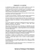 Adaptación a la realidad (Wnnicott)