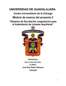 Tratamiento de vinazas tequileras