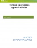 Principales procesos agroindustriales