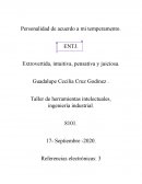 Test de personalidad de acuerdo a mi temperamento