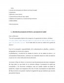 Introducción presupuesto de Efectivo y de Flujo de Capital