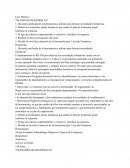 NEUMÁTICOS RAPIDILLO