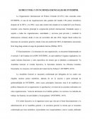 ESTRUCTURA DE INTERPOL