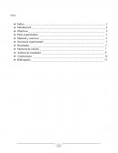 Balanza analitica. Secuencia experimental