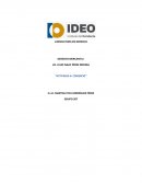 COMERCIO Y SISTEMA CAPITALISTA