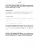Proyecto Zara