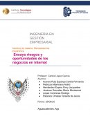 Riesgos y oportunidades de los negocios de internet